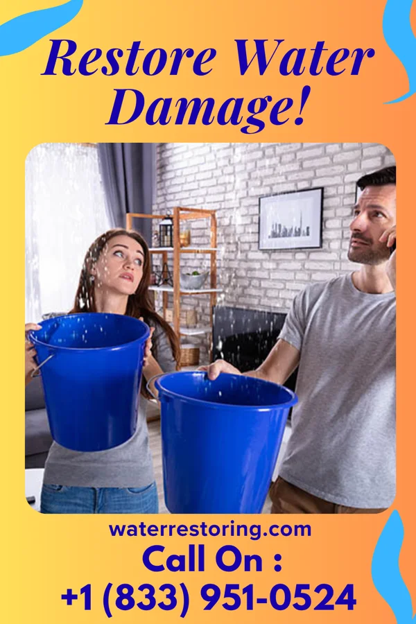 water restoration Royal Emergency Restoration Masters Pine River
