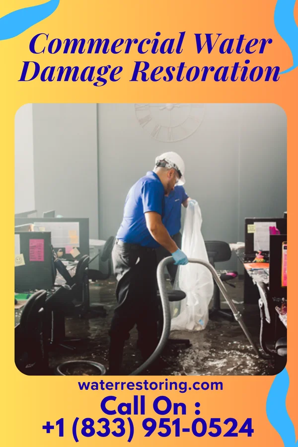 Commercial Water Damage Restoration in Pine River, MN