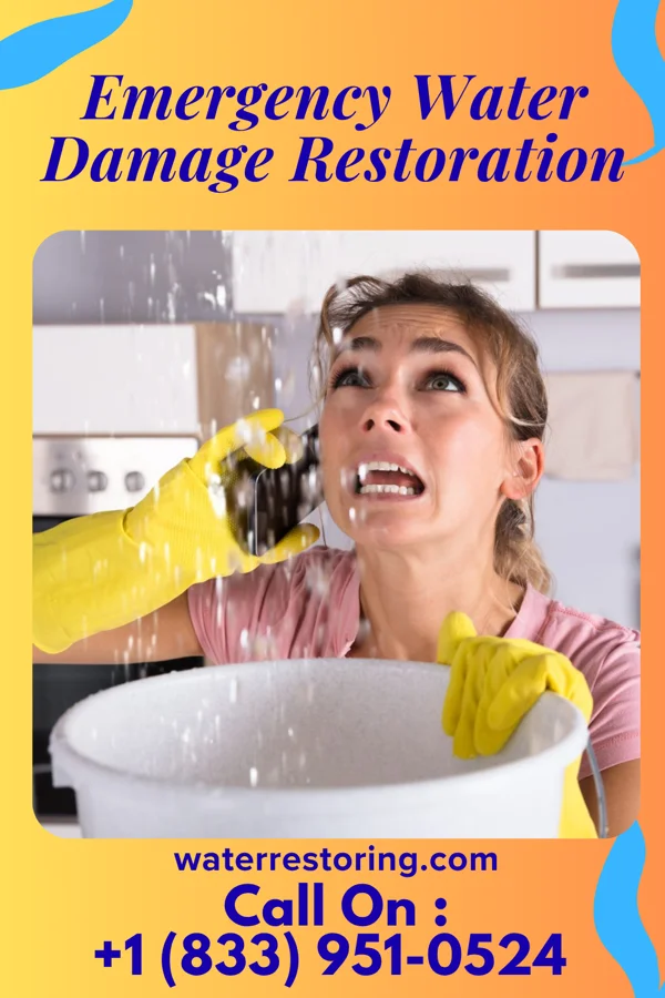 Emergency Water Damage Restoration in Pine River, MN